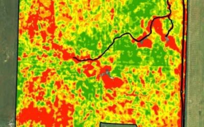 Data-wrangling: Harnessing the power of farm data